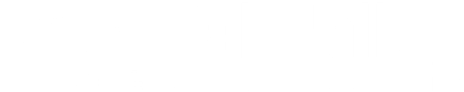 Oakvalley roofing and masonry